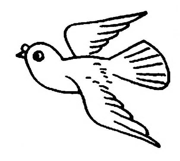 鸽子的简笔画 鸽子的简笔画怎么画