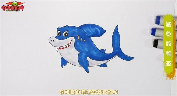 鲨鱼怎么画 鲨鱼简笔画简单好看带颜色