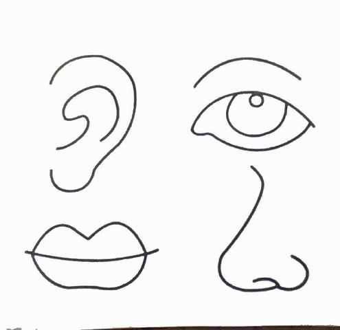 五官简笔画 五官简笔画图片大全