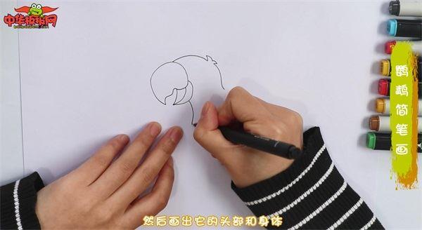 鹦鹉怎么画 鹦鹉简笔画画法