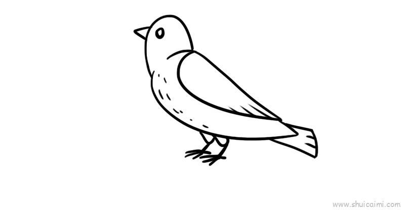 白鸽儿童画怎么画 白鸽简笔画图片大全