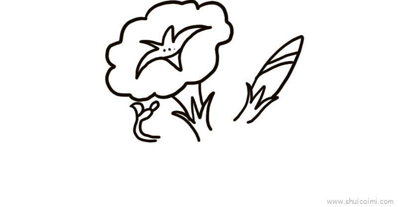 白色牵牛花儿童画怎么画 白色牵牛花简笔画简单