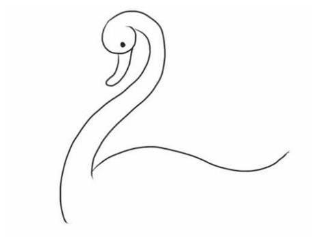 白天鹅简笔画 白天鹅简笔画简单又漂亮