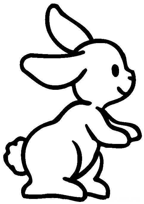 小兔的简笔画图片大全 小兔的简笔画图片大全可爱简单