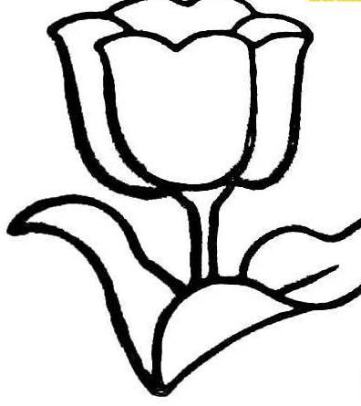 花简笔画图片大全大图 玫瑰花简笔画图片带颜色