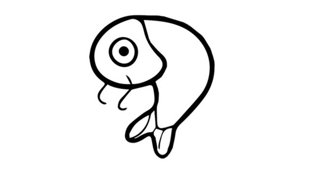 锦鲤简笔画怎么画 锦鲤简笔画简单