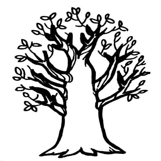 简笔画图片大全树 简笔画图片大全树木带颜色