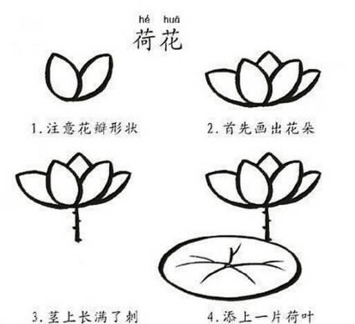 莲花简笔画 莲花简笔画图片大全大图