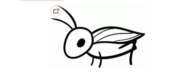 蟋蟀简笔画 蟋蟀简笔画图片带颜色