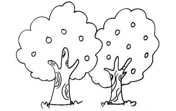 简笔画图片大全树 简笔画图片大全树木带颜色