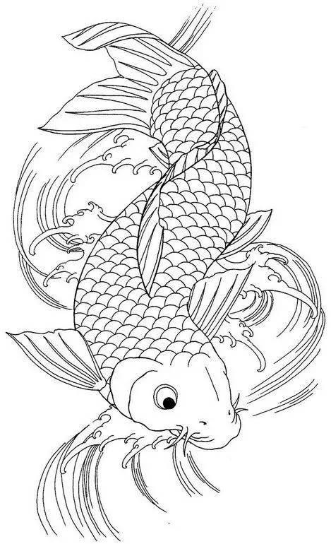 锦鲤简笔画 锦鲤简笔画图片