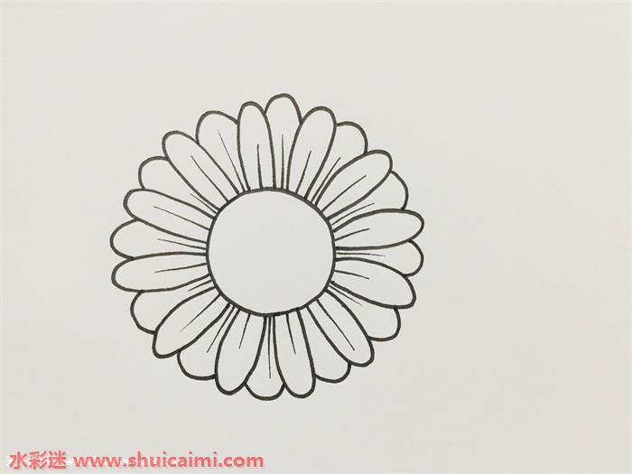 雏菊怎么画 雏菊简笔画彩色