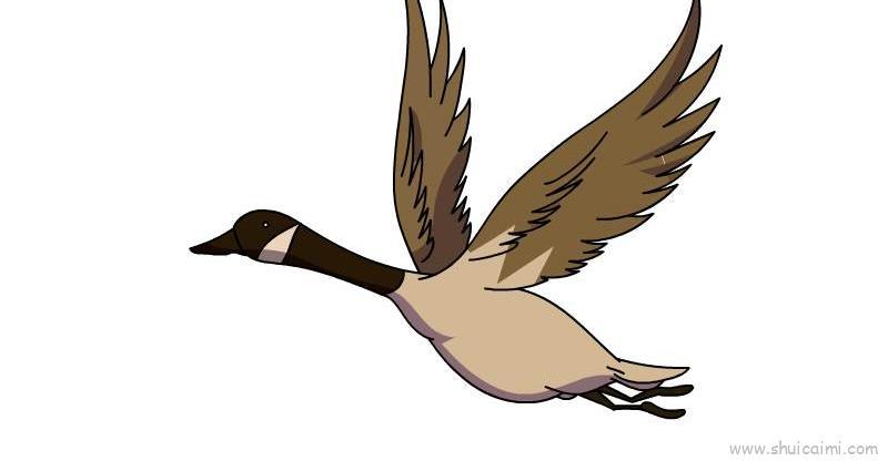动物迁徙儿童画怎么画 动物迁徙简笔画好看