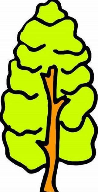 树的简笔画 树的简笔画大树