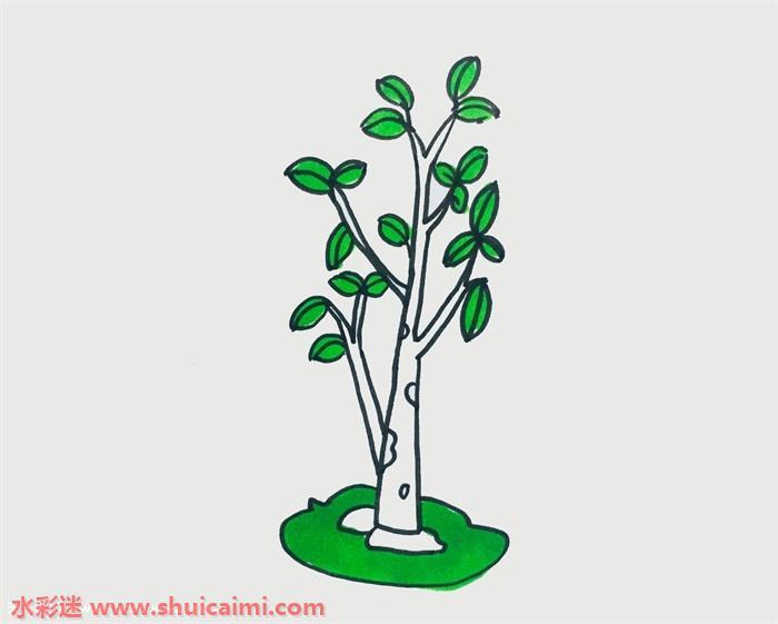 小树怎么画 小树简笔画步骤