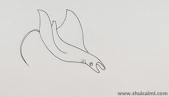 魔鬼鱼儿童画怎么画 彩色魔鬼鱼简笔画图片简单