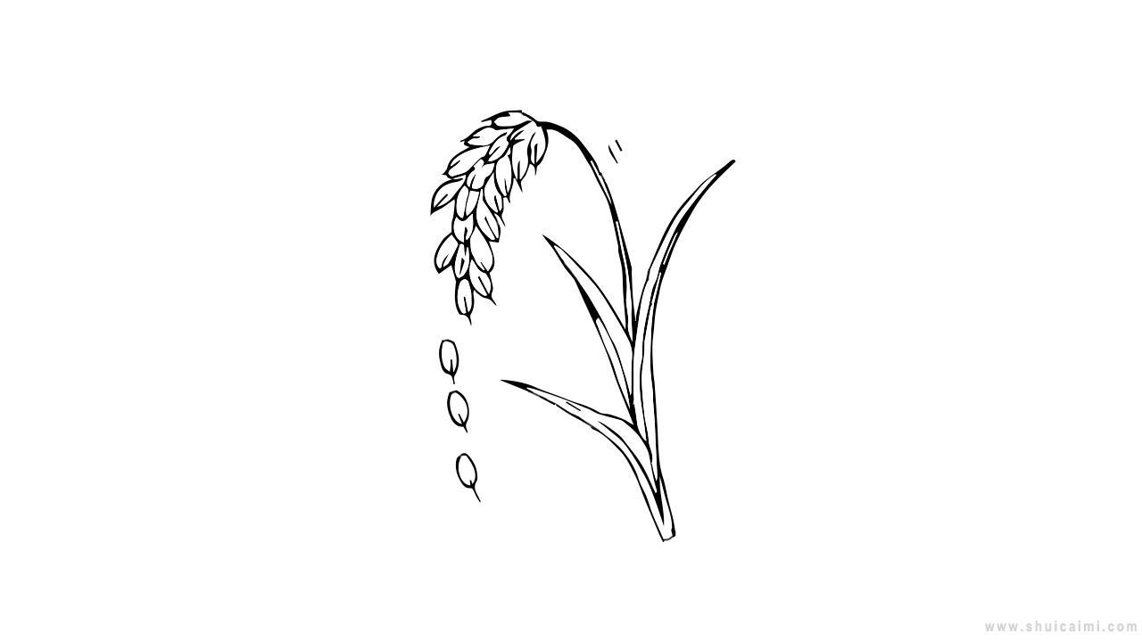 稻穗简笔画怎么画 稻穗简笔画简单
