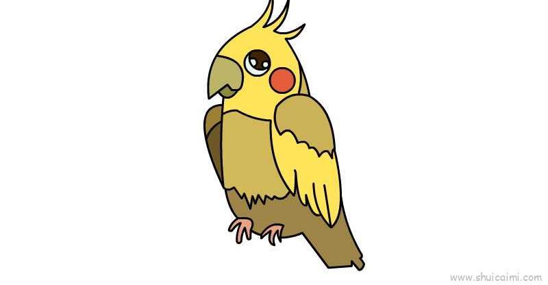鹦鹉儿童画怎么画 鹦鹉简笔画图片大全