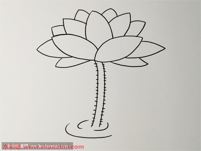 荷花怎么画 荷花简笔画漂亮卡通