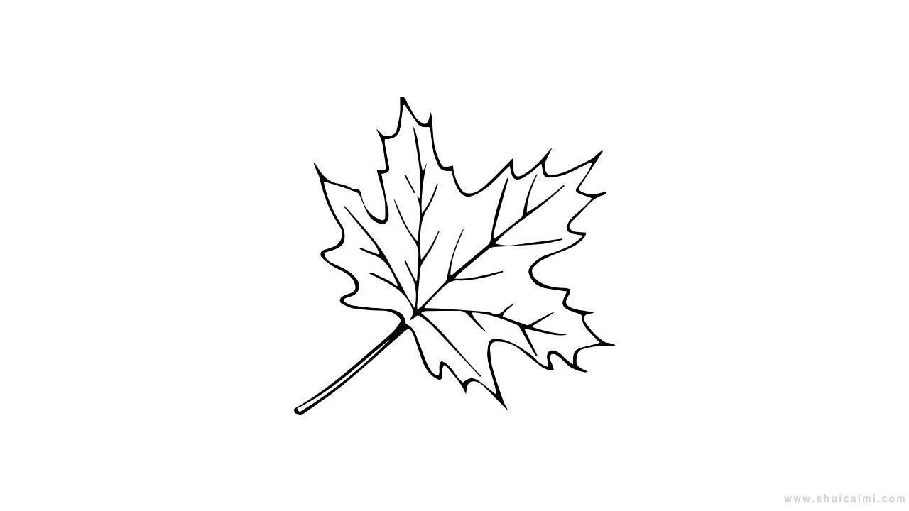 秋天枫叶简笔画怎么画 秋天枫叶简笔画顺序