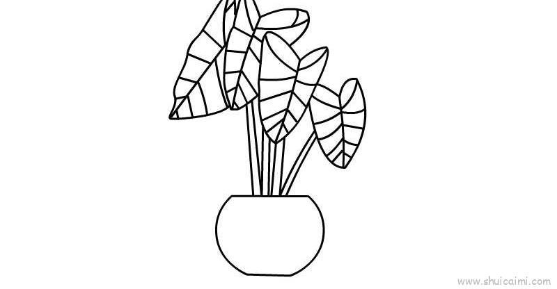 芋头儿童画怎么画 芋头简笔画步骤