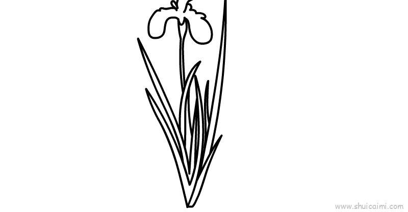 端午节菖蒲儿童画怎么画 端午节菖蒲简笔画步骤