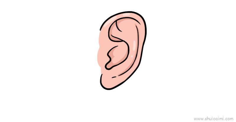 耳朵儿童画怎么画 耳朵简笔画图片
