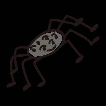 蜘蛛的简笔画 蜘蛛的简笔画图片大全