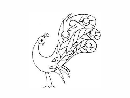 孔雀的简笔画 孔雀的简笔画图片