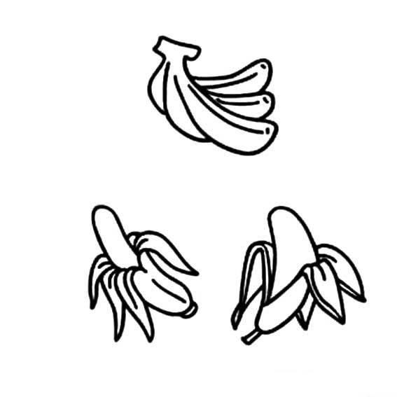 简笔画香蕉 简笔画香蕉树