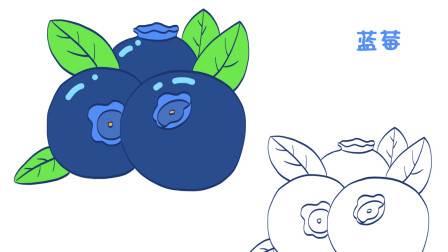 蓝莓简笔画 蓝莓简笔画图片