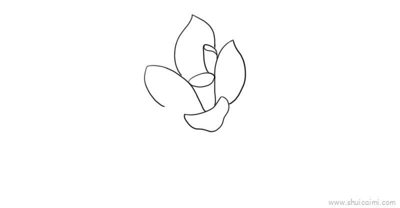荷花儿童画怎么画 荷花简笔画顺序