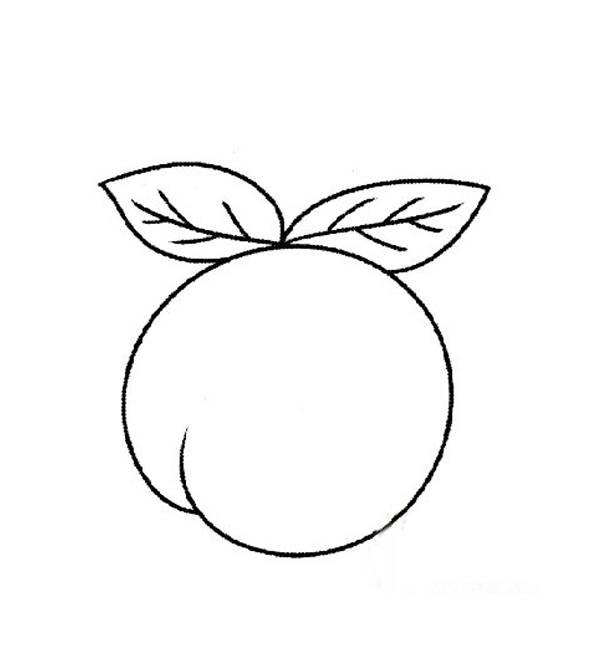 桃子简笔画图片大全 桃子简笔画图片大全大图