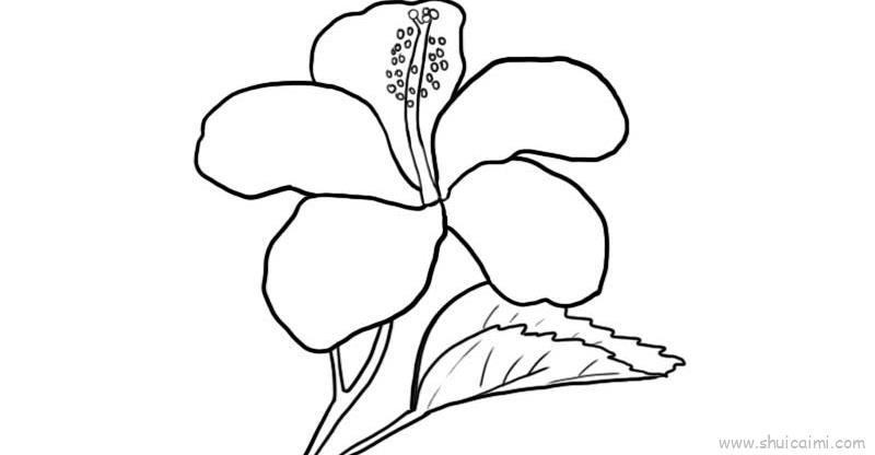 扶桑花儿童画怎么画 扶桑花简笔画顺序