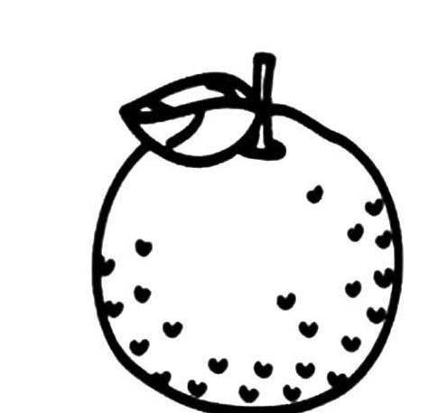 橘子简笔画 橘子简笔画图片