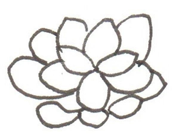 桃美人的简笔画怎么画 桃美人的简笔画顺序