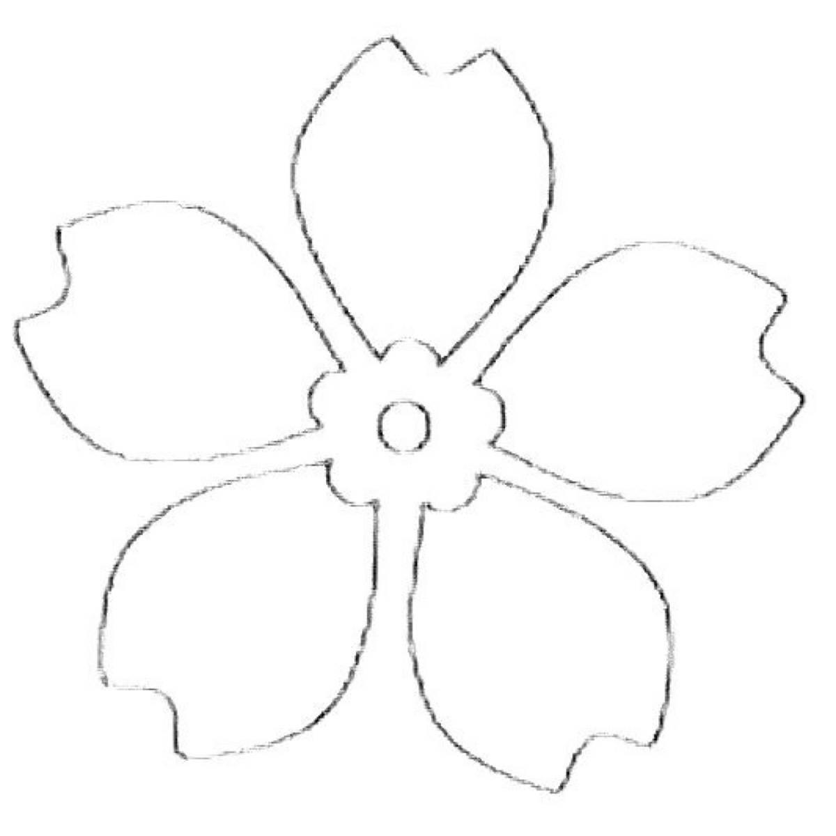 花瓣的简笔画图片大全 花瓣的简笔画图片大全大图