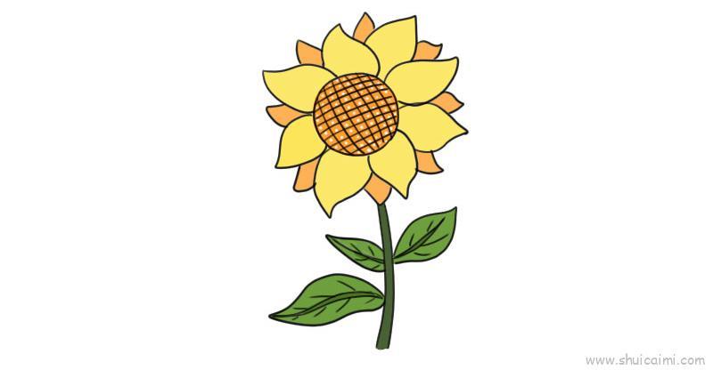 向日葵儿童画怎么画 向日葵简笔画画法