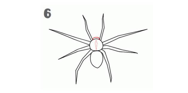 蜘蛛的简笔画 蜘蛛的简笔画图片大全