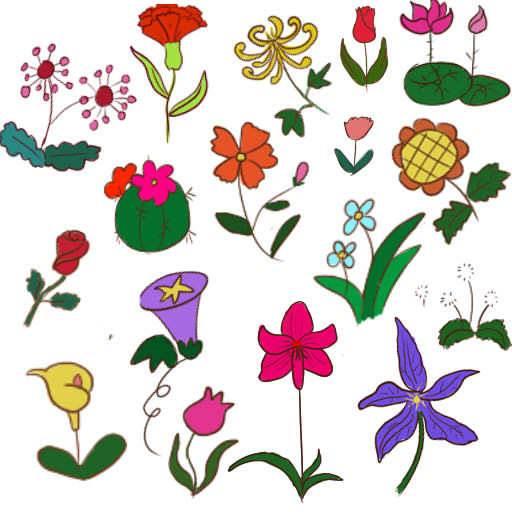 植物简笔画图片大全带颜色 植物简笔画图片大全