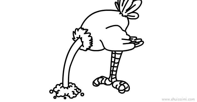 鸵鸟儿童画怎么画 鸵鸟简笔画步骤