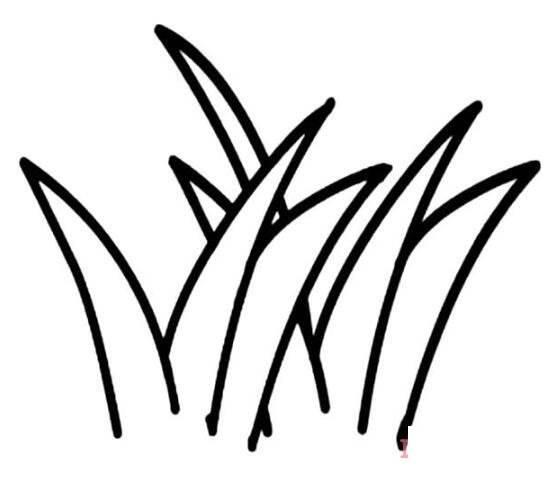 小草简笔画 小草简笔画简单又漂亮
