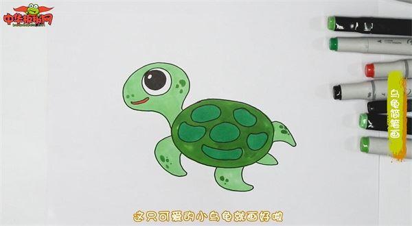 乌龟怎么画 乌龟简笔画漂亮卡通