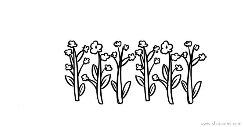 小油菜儿童画怎么画 小油菜简笔画好看