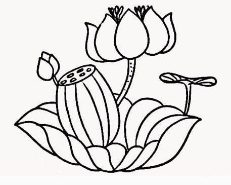 植物的简笔画图片大全 植物的简笔画图片大全大图