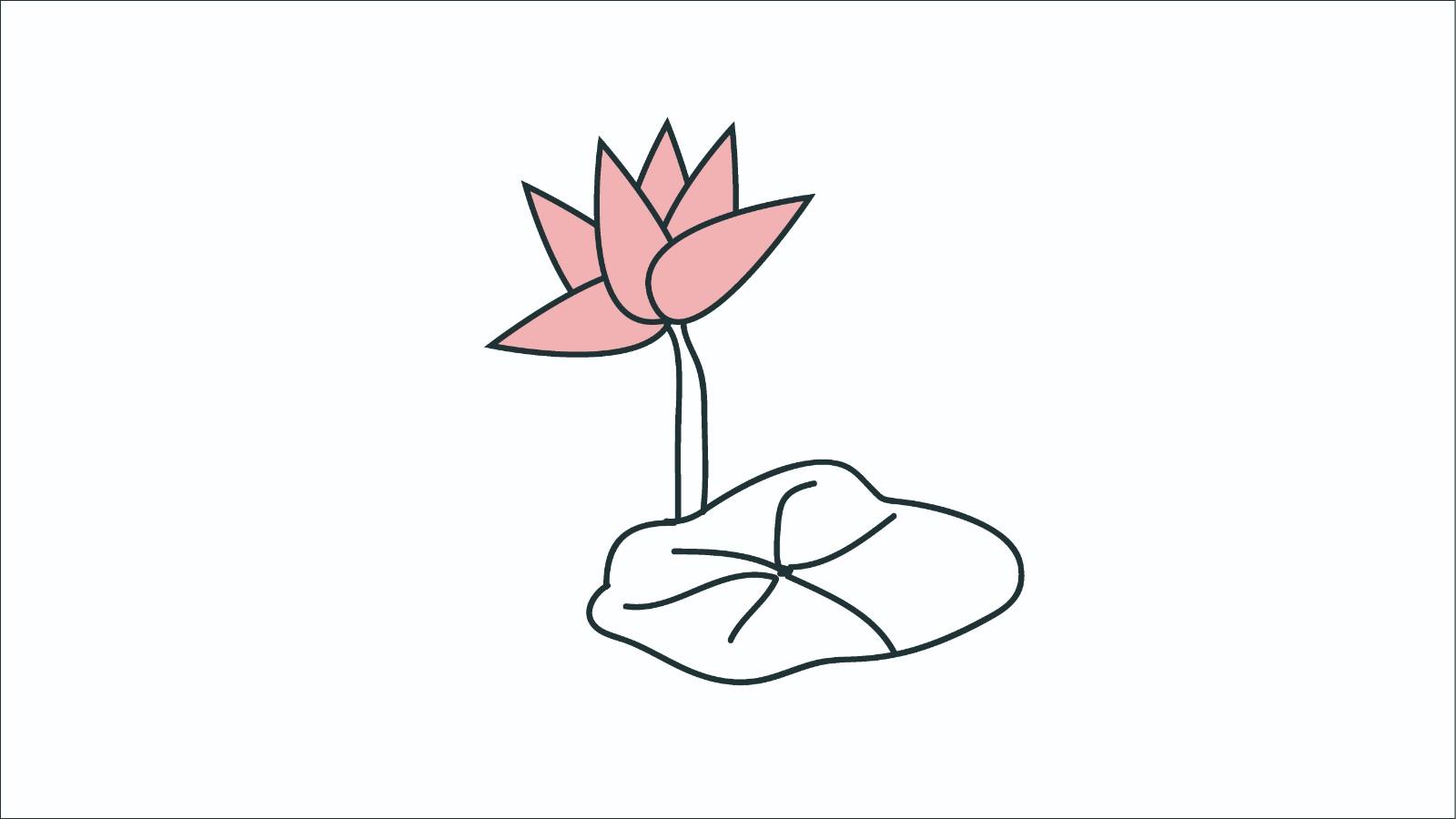 莲花的简笔画怎么画 莲花简笔画好看