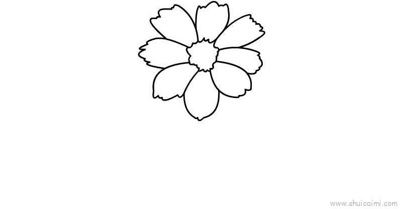 粉色菊花儿童画怎么画 粉色菊花简笔画步骤