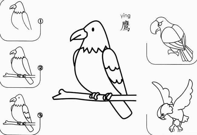 老鹰简笔画 老鹰简笔画简单