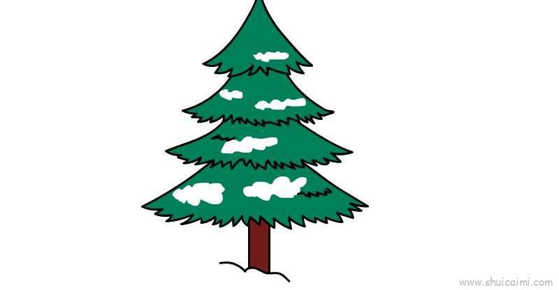 雪松儿童画怎么画 雪松简笔画图片大全