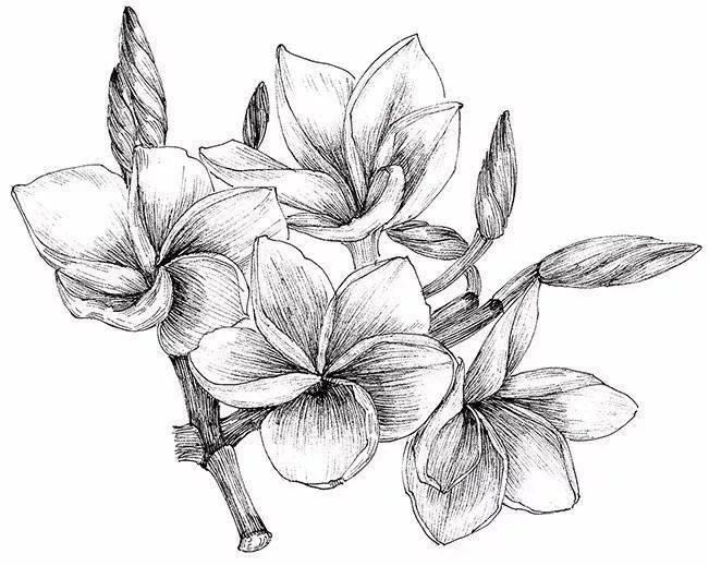 少女心爆棚的简笔画 少女心爆棚的简笔画动漫